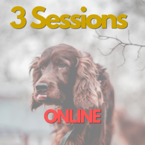 Online Training Package - 3 Sessions