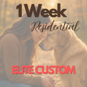 Elite Custom - 1 week Training