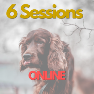 Online Training Package - 6 Sessions