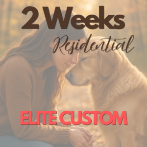 Elite Custom - 2 weeks Training
