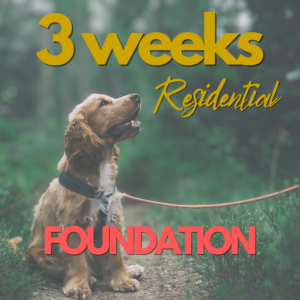 Residential Foundation Program 3 weeks