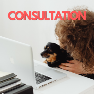 Behaviour Consultation