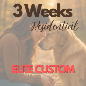 Elite Custom - 3 weeks Training