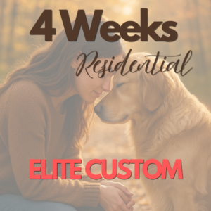 Elite Custom - 4 weeks Training