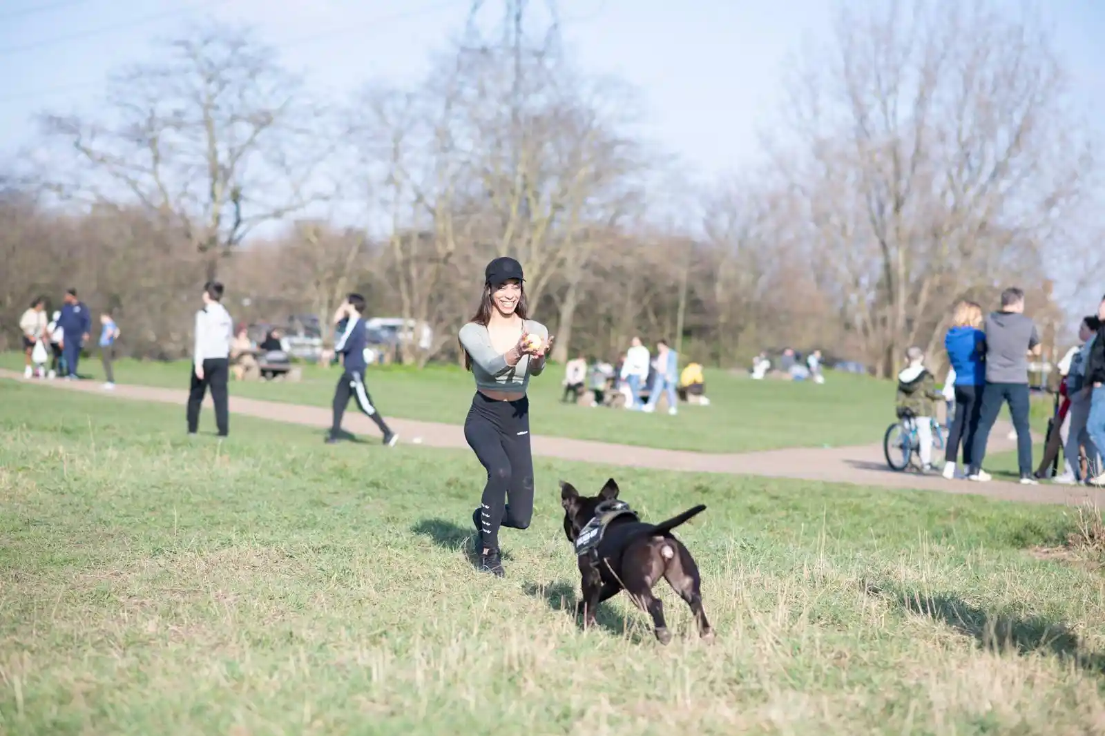 Mental Stimulation in Dogs